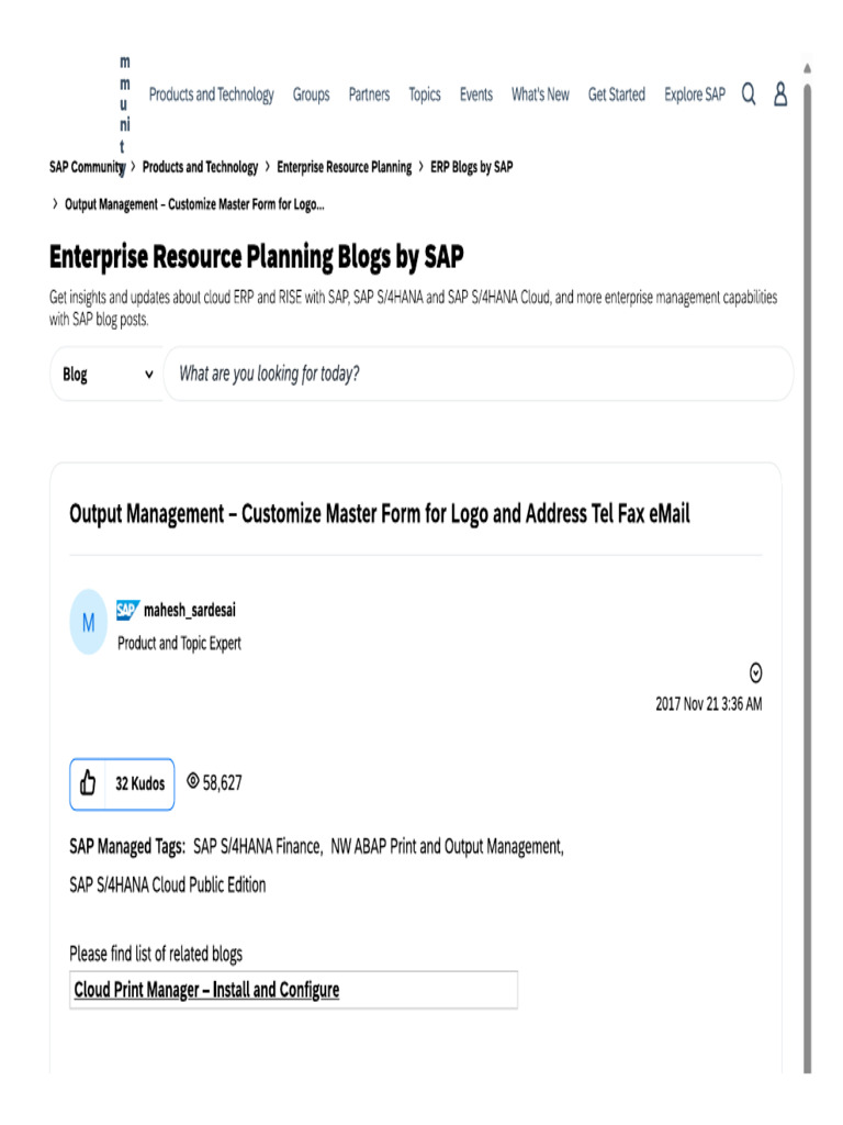 Output Management - Customize Master Form For Logo... - SAP Community | PDF