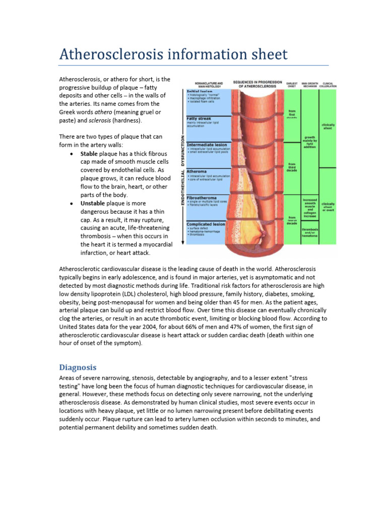 UMN - Atherosclerosis Information Sheet | PDF | Atherosclerosis | Atheroma