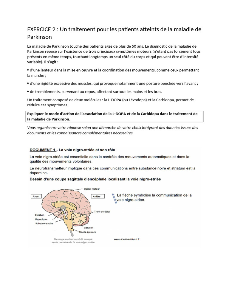 Traitement de la maladie de Parkinson | PDF | Bien-être