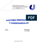Anatomia Respiratoria y Cardiovascular