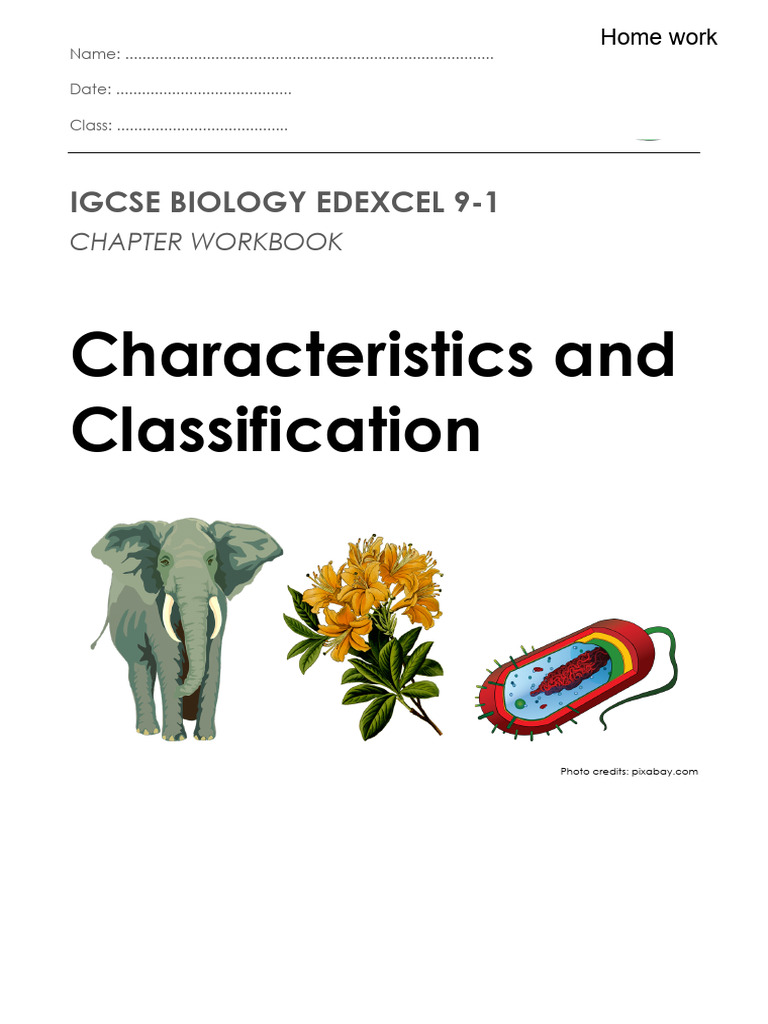 Characteristics and Classification | PDF | Cell (Biology) | Bacteria