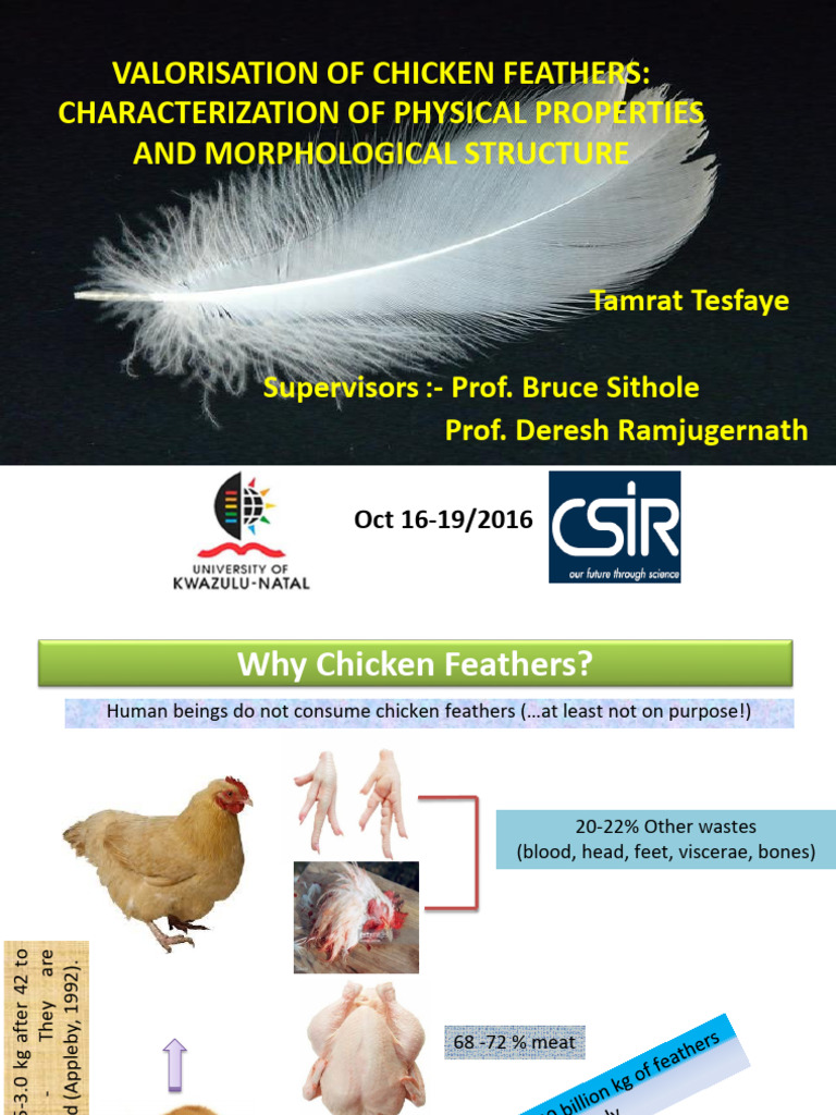 Chicken Feather Valorisation Insights | PDF | Adsorption | Feather