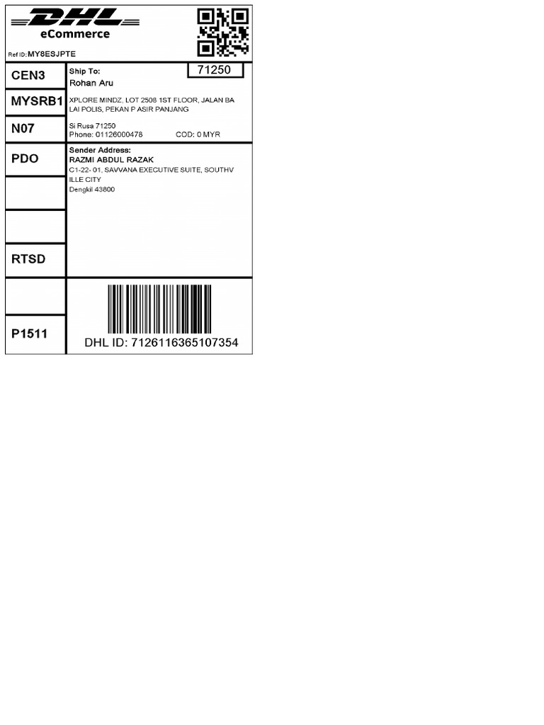 Razmi Dhl-3 | PDF