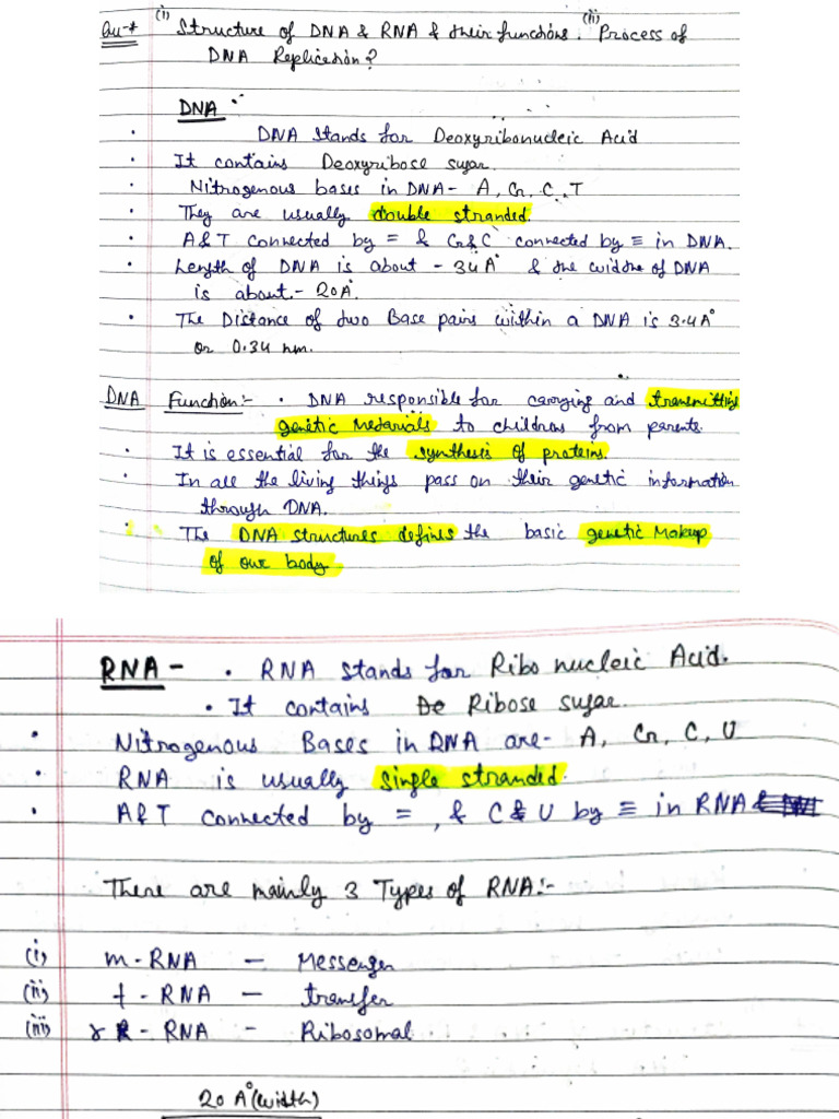 Long Qs Biochemistry | PDF