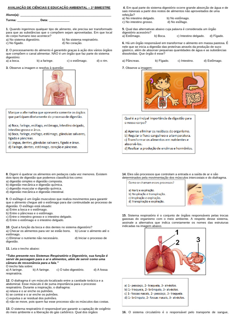 Avaliação De Ciências E Educação Ambiental Pdf Sangue Sistema