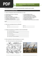 Ficha de Trabalho - Historia Da Terra