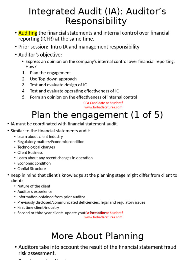 Integrated Audit Planning and Responsibilities | PDF | Internal Control ...