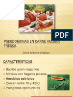 Pseudomonas en Carne Vacuna Fresca