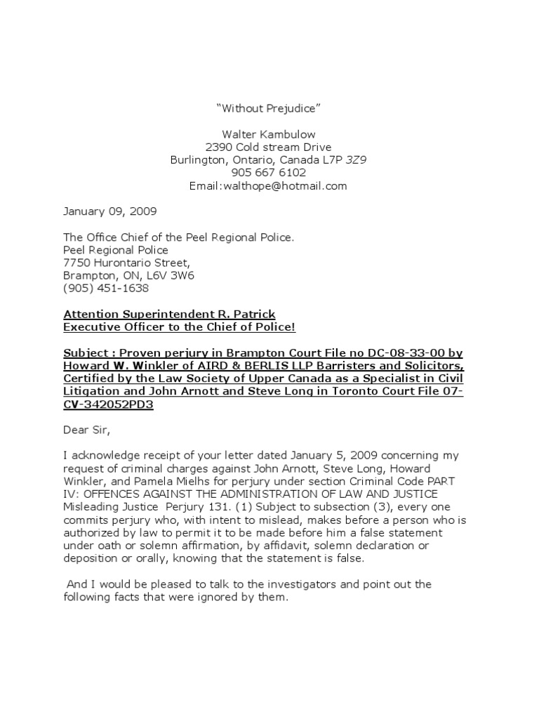Alleged Perjury in Brampton Court | PDF | Perjury | Judge