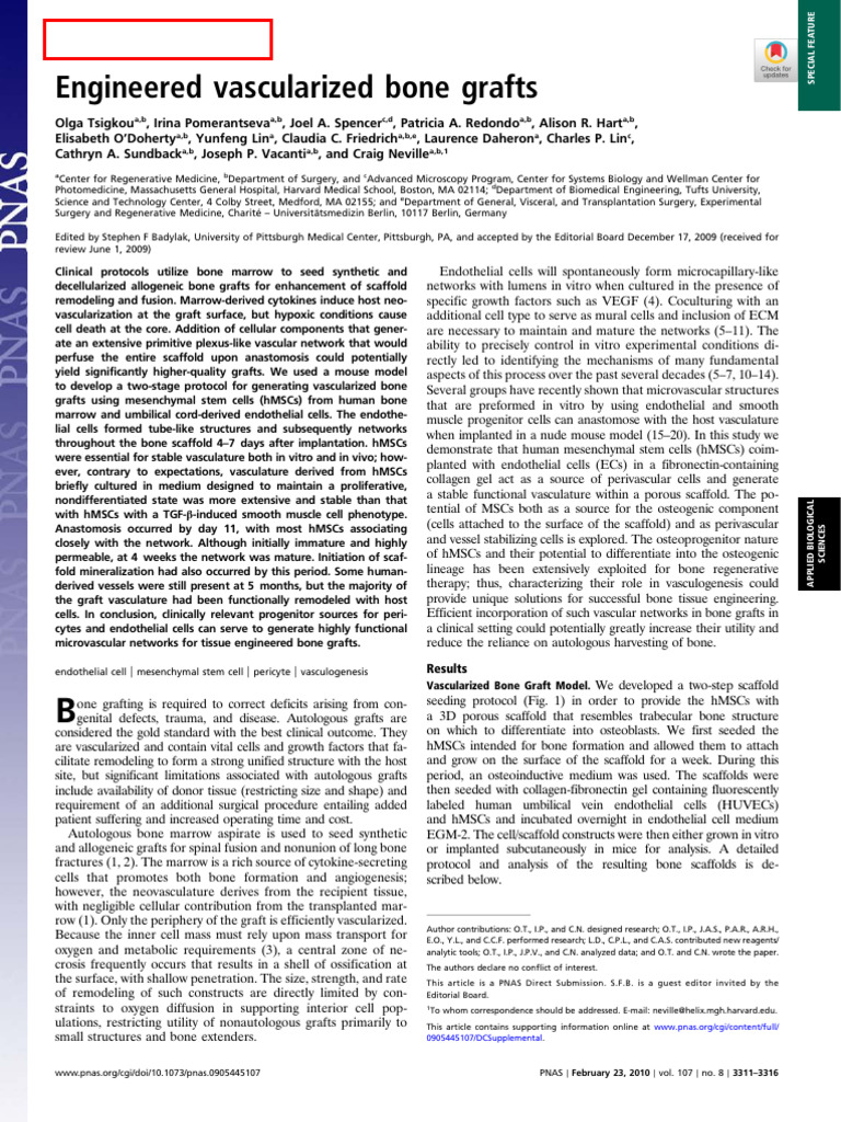 Engineered Vascularized Bone Grafts | PDF | Tissue Engineering | Bone