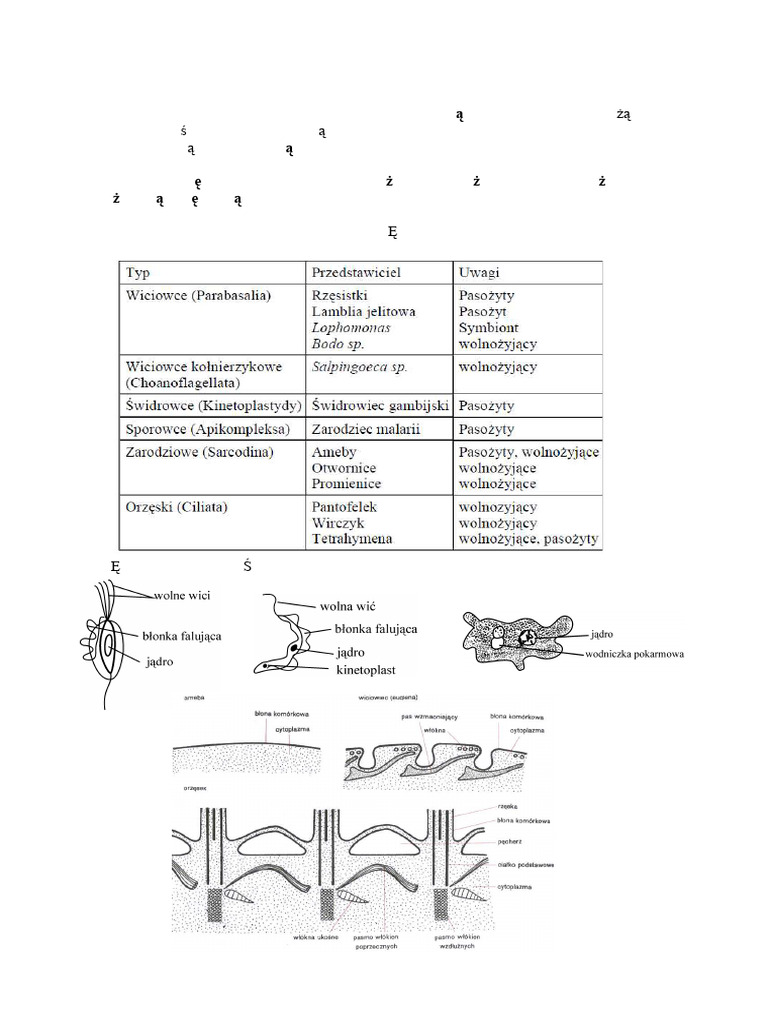 PROTISTY | PDF