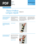 Hand FPL Repair PT Protocol | PDF | Thumb | Physical Therapy