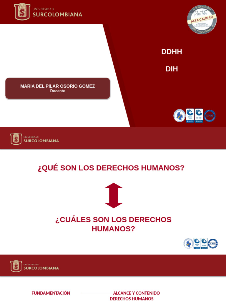 Derechos Humanos y Dih | PDF | Ley humanitaria internacional | Derechos ...