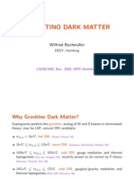 Wilfried Buchmuller- Gravitino Dark Matter