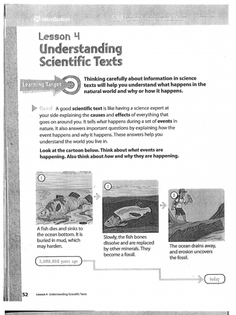 4th Grade Reading Lesson 4 | PDF