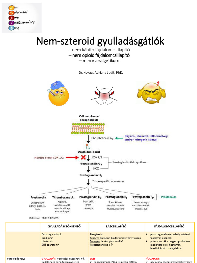 NSAID | PDF