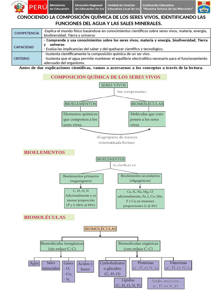 Composicion Quimica de Los Seres Vivos | PDF | Solución tampón | Agua