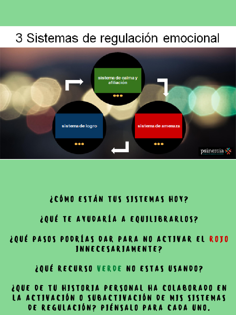 3 Sistemas de Reg Emoc | PDF | Crecimiento personal y profesional