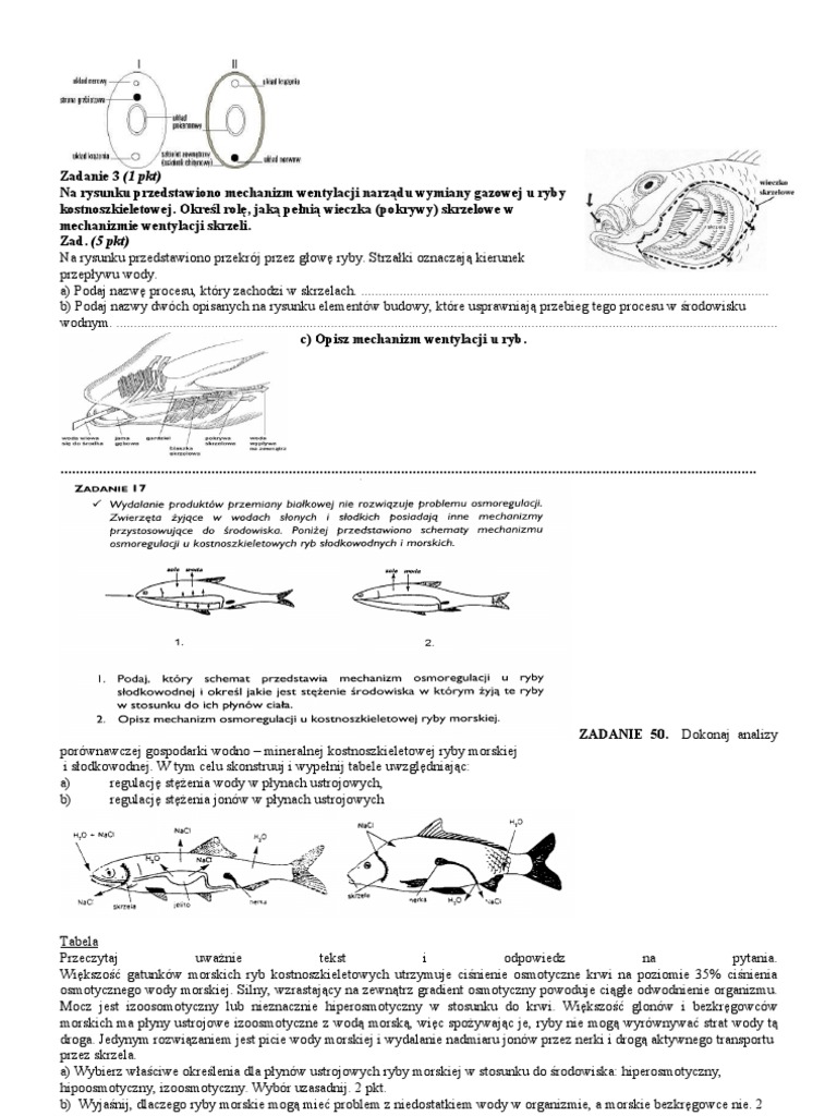 Aparat Ruchu Test Sprawdzający Rozdział 3 Test Biologia Strunowce Maturalne