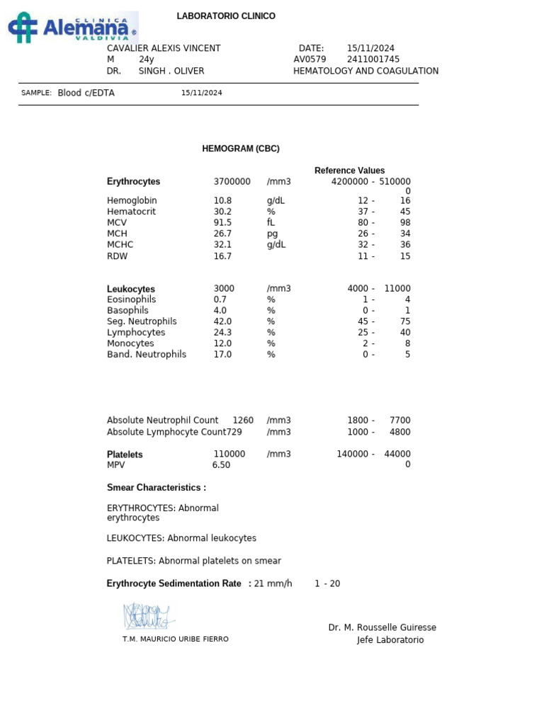 Hematology Report for Patient Analysis | PDF | White Blood Cell ...