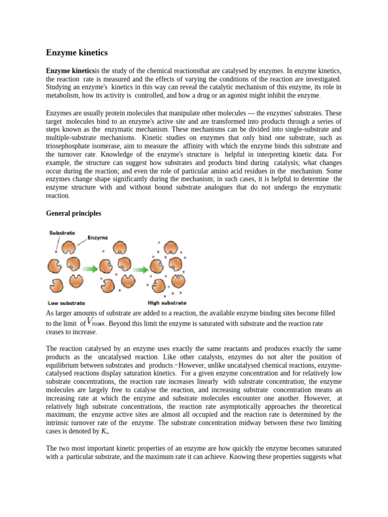 Enzyme Kinetics1 | PDF | Enzyme Kinetics | Enzyme Inhibitor
