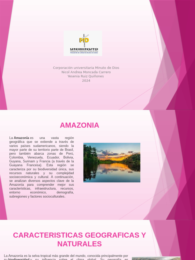 AMAZONIA | PDF | Selva amazónica | Deforestación
