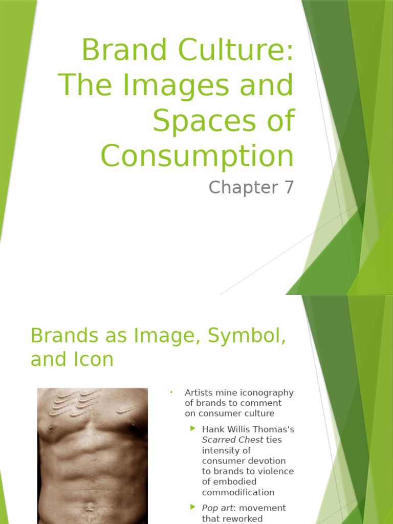 Brand Culture and Consumer Spaces | PDF | Brand | Consumerism
