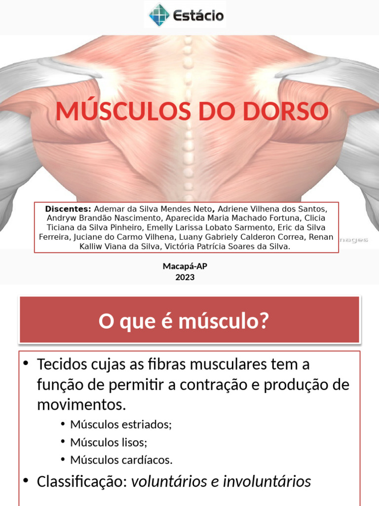 Descrição Médica Dos Músculos Do Braço Com Esquema Delineado E Títulos Em  Latim. Ilustração do Vetor - Ilustração de extensor, interno: 296493165, image size:768x1024
