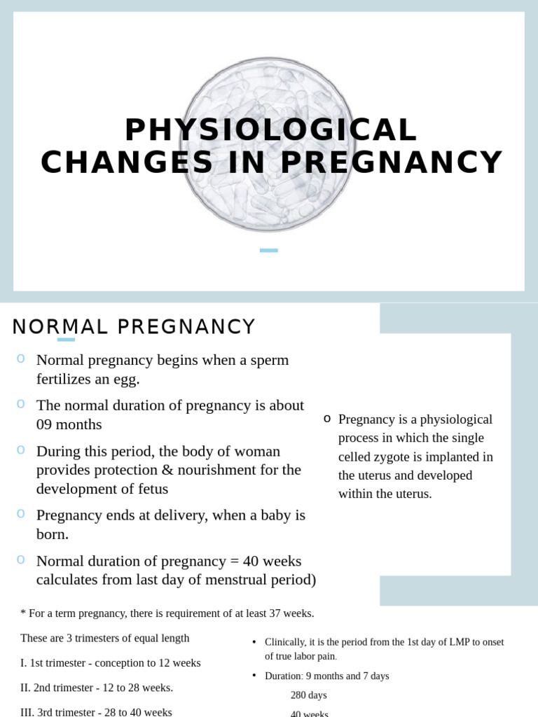 Physiological Changes During Pregnancy | PDF | Pregnancy | Uterus