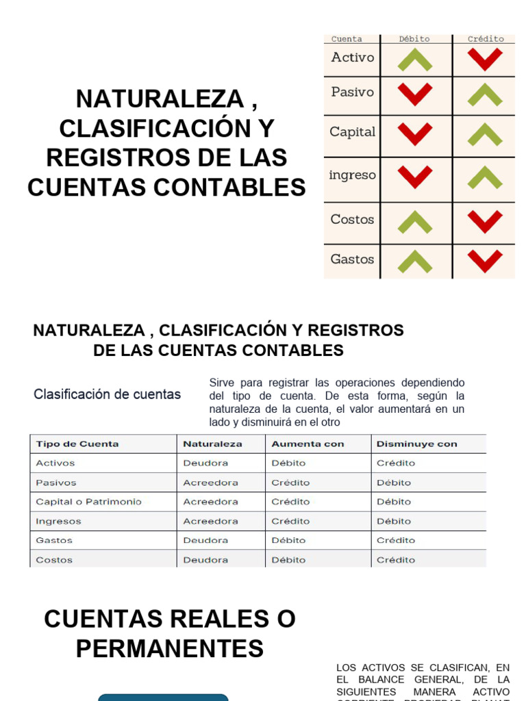 Clasificación y Naturaleza de Cuentas Contables | PDF | Contabilidad ...