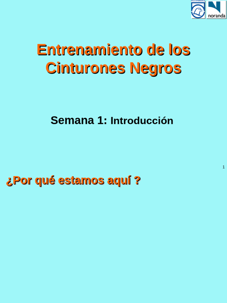SP 111 Introduccion | PDF | Six Sigma