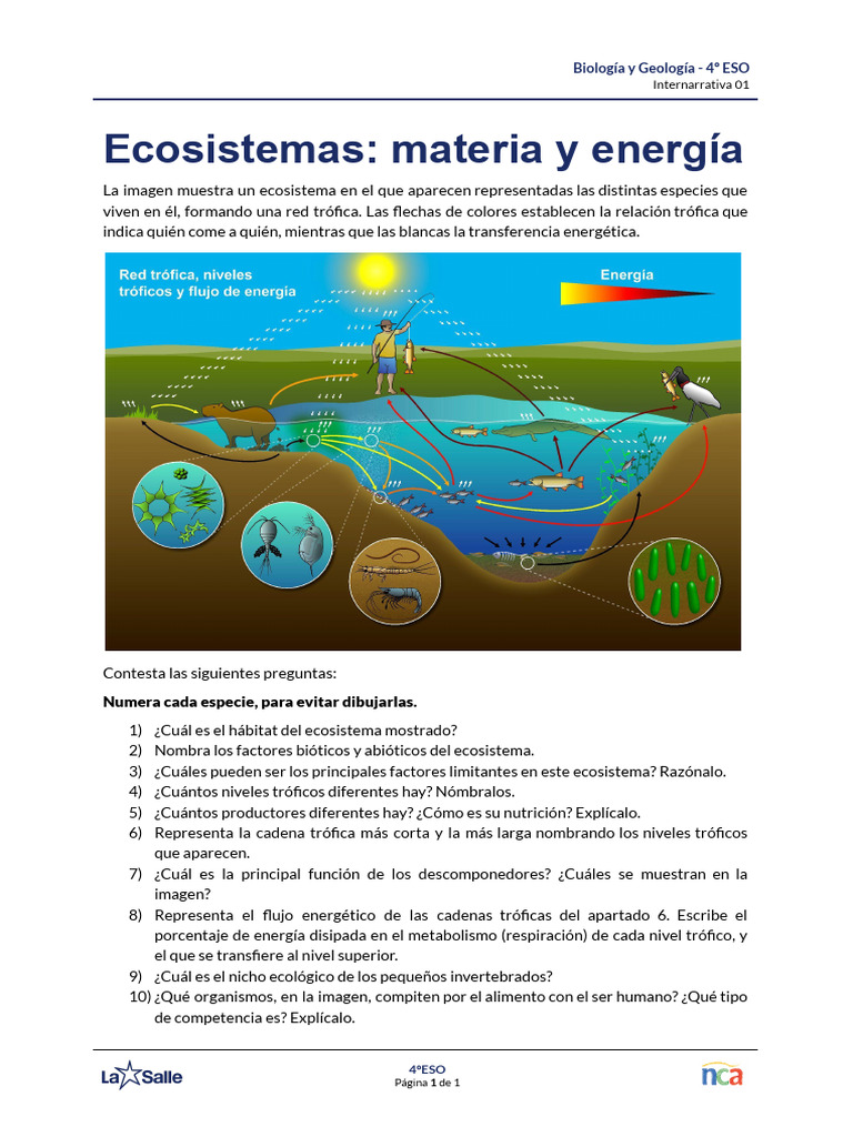 CAS ESO4 IN01 BG Transferencias | PDF