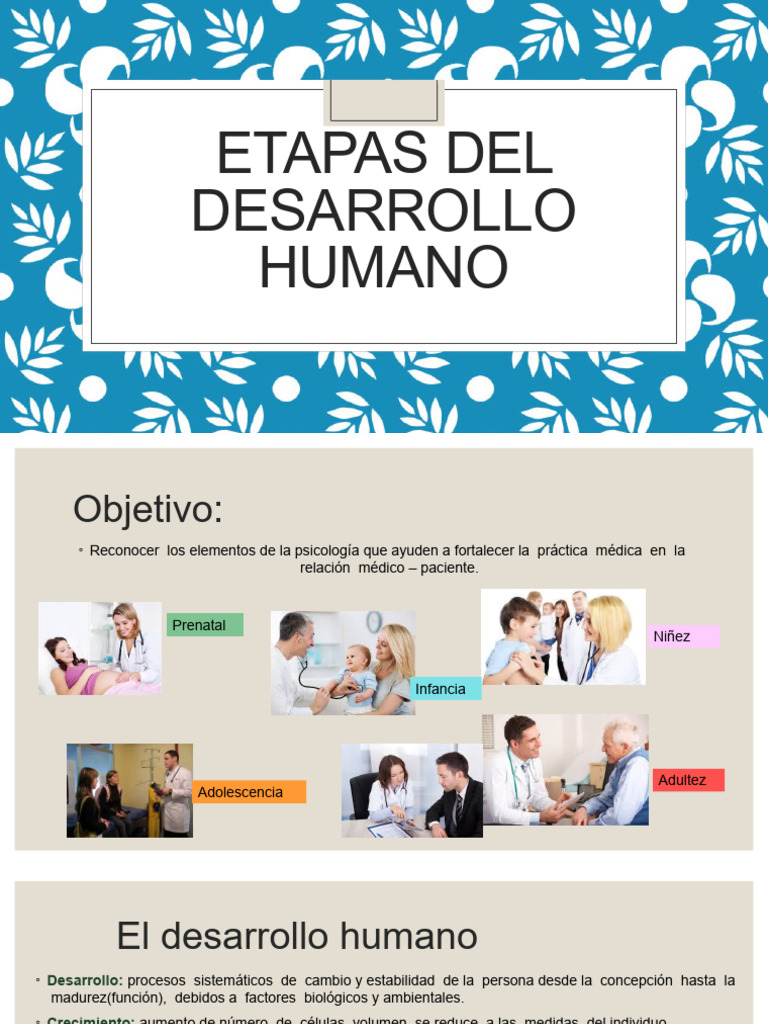 Etapas Del Desarrollo Humano | PDF | Adultos | Desarrollo cognitivo