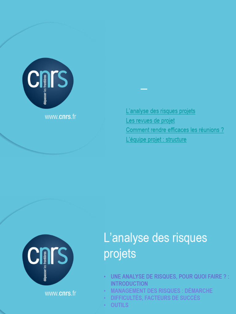 Gestion des Risques en Projet : Méthodes et Outils | PDF | Risque ...