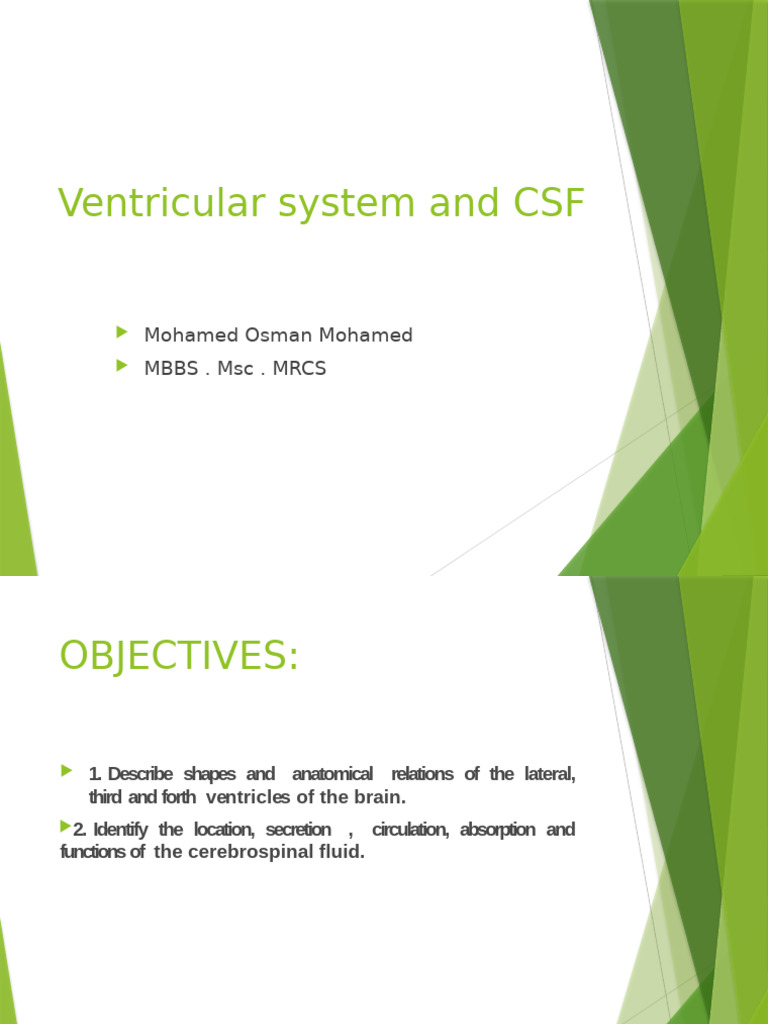 Anatomy of Brain Ventricles and CSF | PDF | Cerebrospinal Fluid | Brain