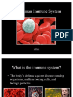 The Human Immune System