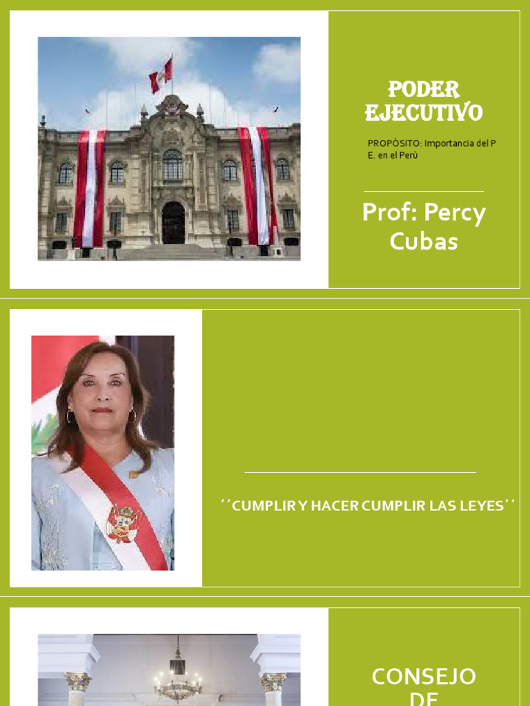 Poder Ejecutivo PDF Política Ciencias sociales