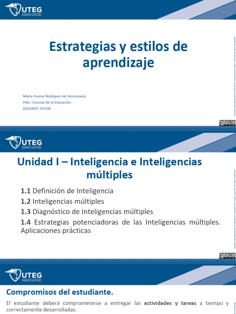 Estrategias y Estilos | PDF | Aprendizaje | Inteligencia