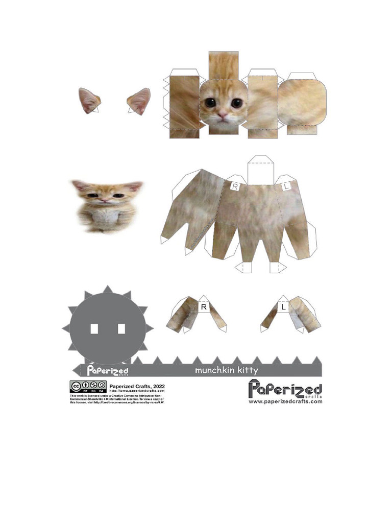 Paper Craft | PDF