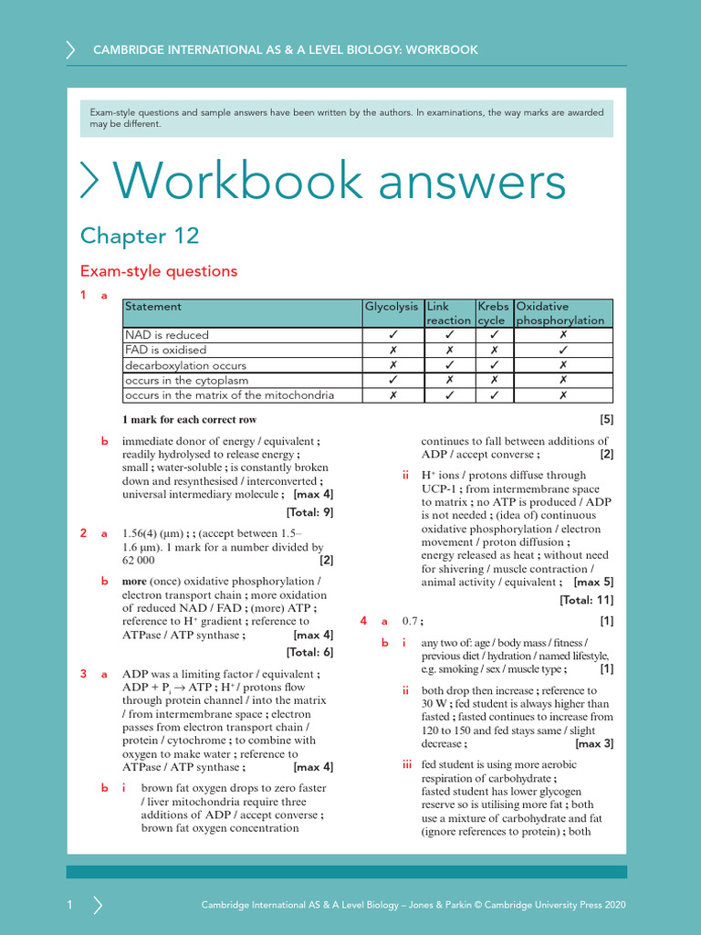 AS & A Level Biology Workbook Answers | PDF | Cellular Respiration ...