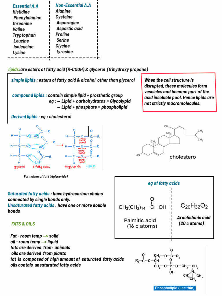 Biomolecules | PDF