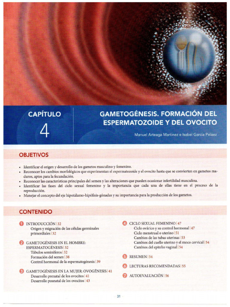 Gametogenesis y Ciclo Menstrual-Arteaga | PDF