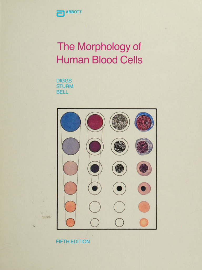 Morphology of Human Blood Cells | PDF | Mitosis | Granulocyte