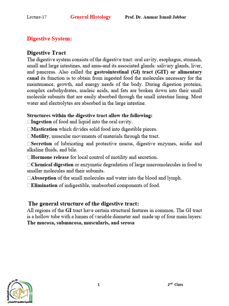 Digestive System Histology Overview | PDF | Human Digestive System ...