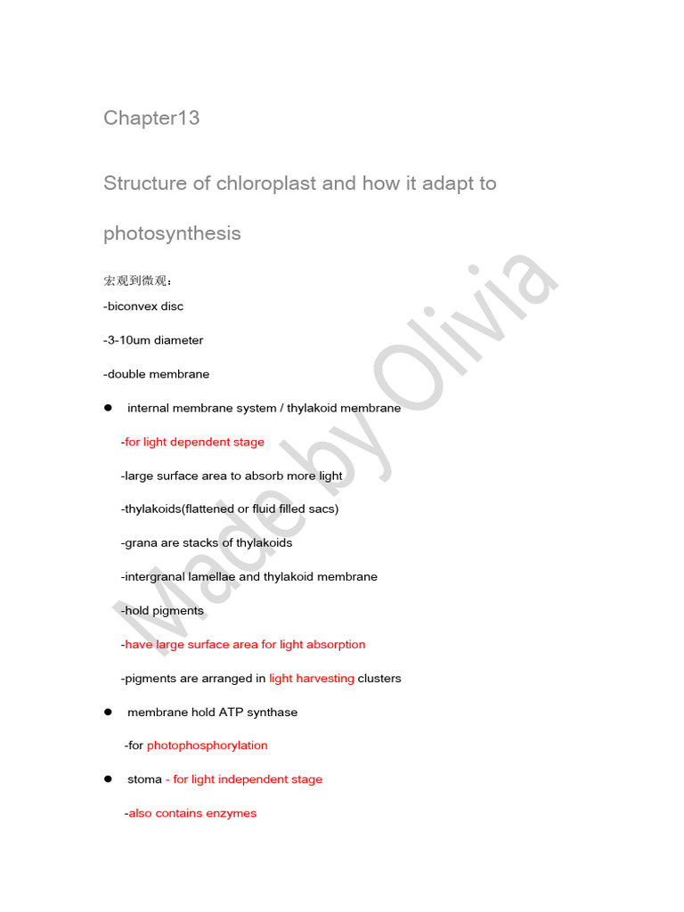 Chloroplast Structure and Photosynthesis Adaptations | PDF ...