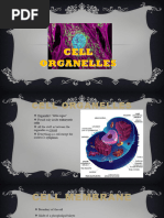 Cell Rap Lyrics Pdf Cell Biology Cytoplasm