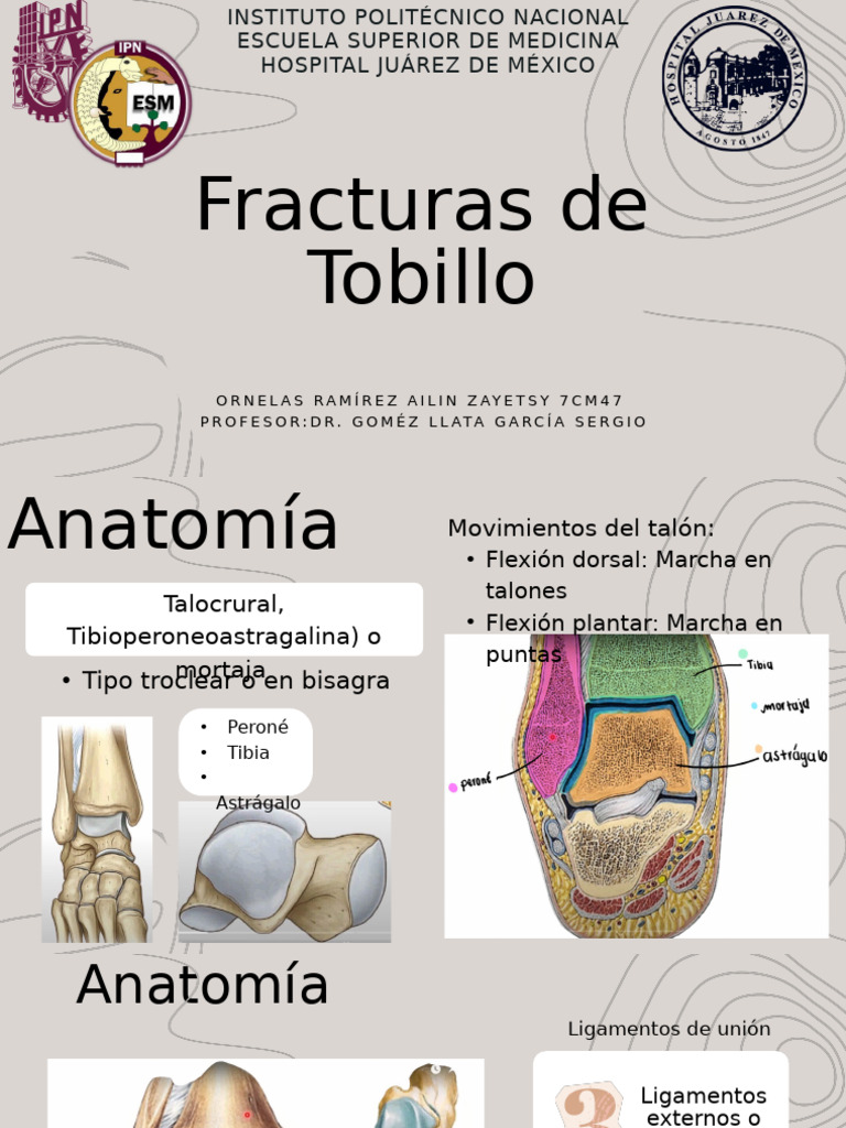 Fracturas de Tobillo: Anatomía y Tratamiento | PDF | Tobillo | Sistema ...