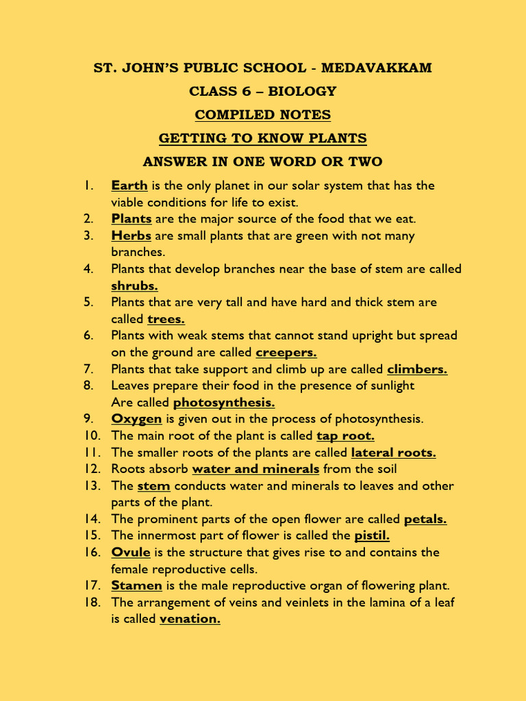 Class 6 Biology: Understanding Plants | PDF | Leaf | Vertebral Column
