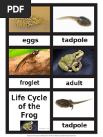 NSSA P4 Form Upload Guide | PDF | Pension | Employment