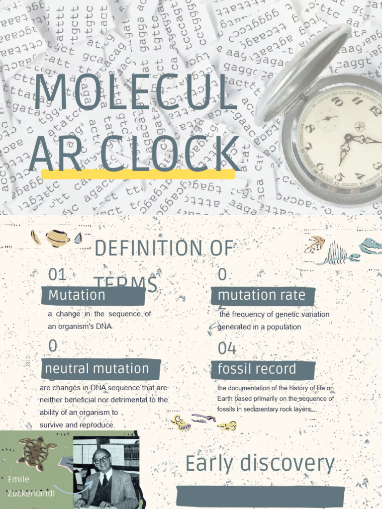 Molecular Clock PDF | PDF | Molecular Phylogenetics | Nucleic Acid Sequence